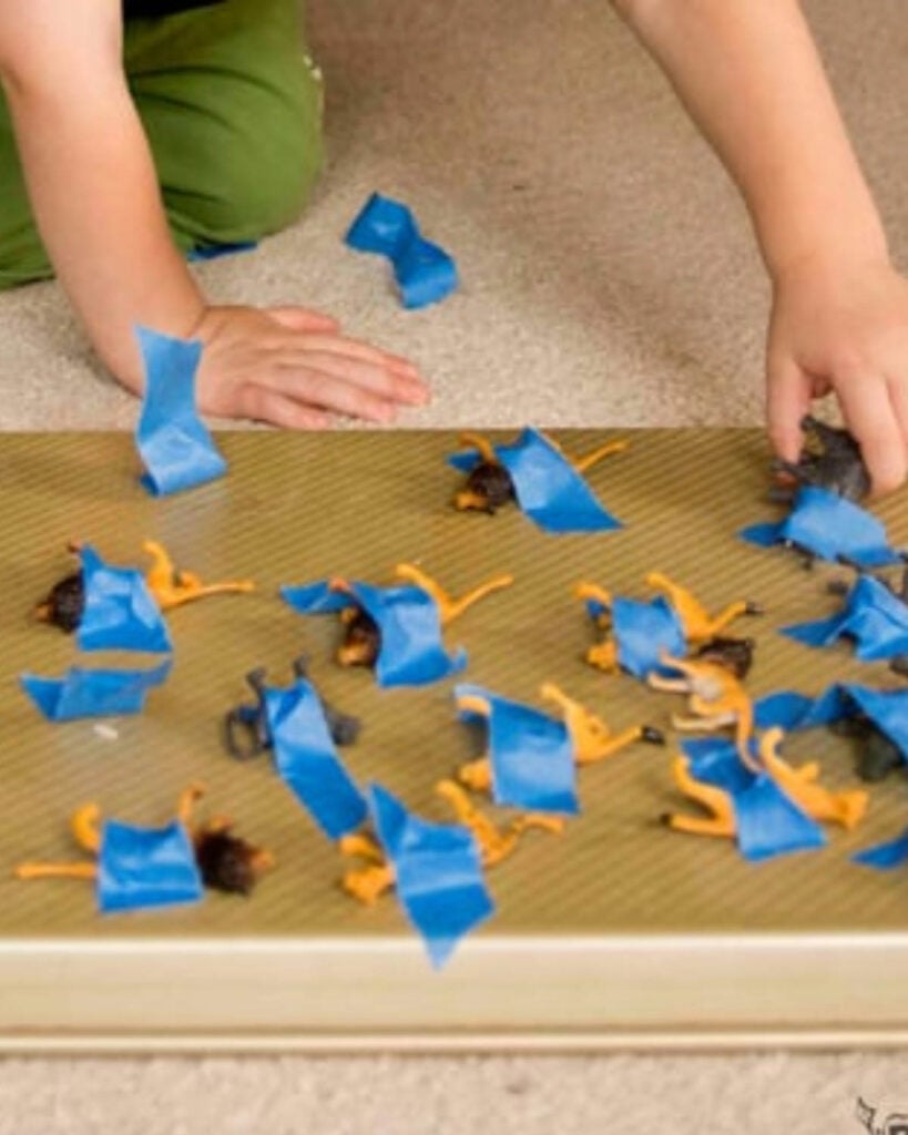 A child peels up animals taped on a cookie sheet.