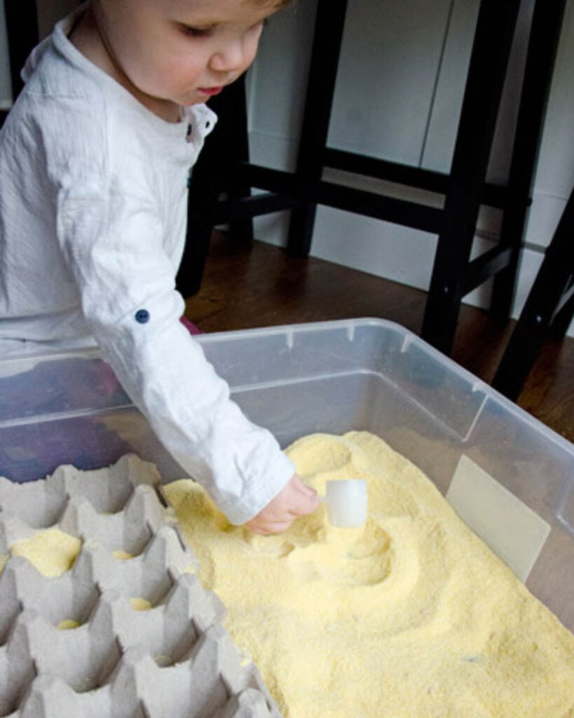 A child scoops cornmeal with a formula scoop into an egg carton.