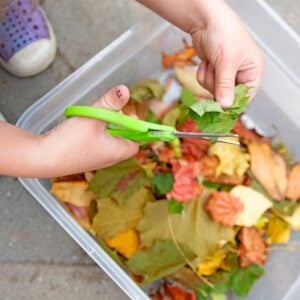 A child holds green scissors and cuts a fallen fall leaf. There is a bin of colorful fall leaves in the background.