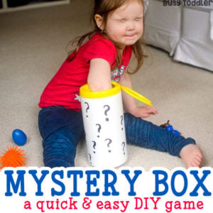 MYSTERY BOX: A quick and easy DIY game; a fun toddler sensory activity; an easy indoor activity for toddlers; five senses activity from Busy Toddler