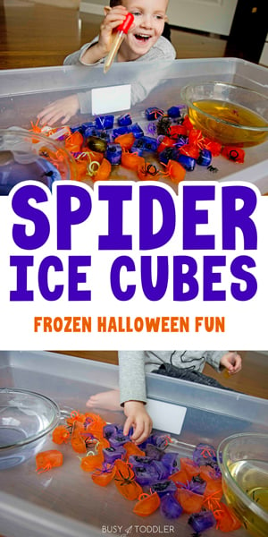 SPIDER ICE HALLOWEEN ACTIVITY:A fun, spooky spider activity for toddlers and preschoolers. A color changing / science activity with a sensory twist for kids to play at Halloween - from Busy Toddler