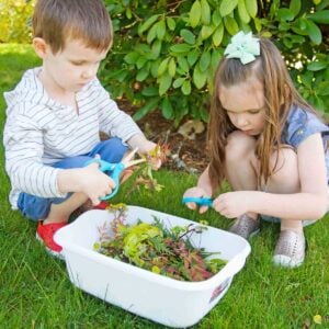 Two children bend over a white dish pan full of leaves. They are cutting with blue scissors.