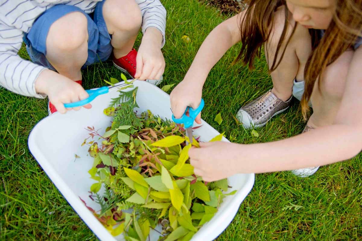 Two children use blue scissors to cut up lawn trimmings.