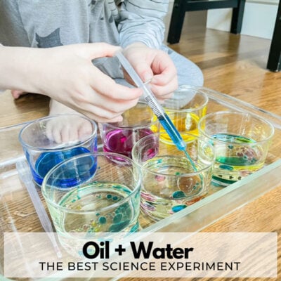 Oil and Water Science Experiment for Kids