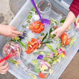 Two sets of kid hands reach into a clear plastic container full of water and flowers. The children are having a sensory play time.