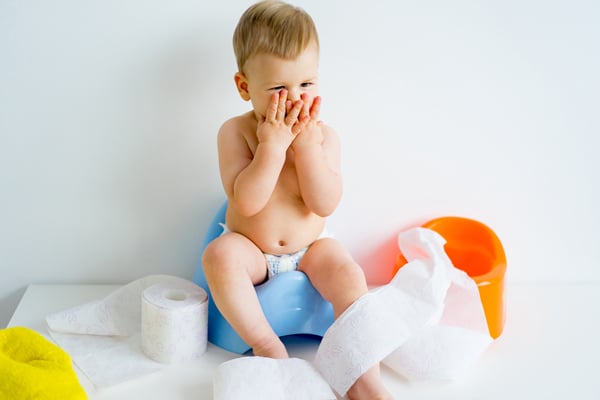 POTTY TRAINING: Are you terrified to potty train? Check out this post - a great potty training guide; potty training how-to; potty training toddlers; potty training preschoolers; help with potty training from Busy Toddler