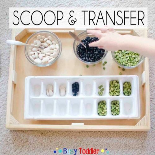 SCOOP AND TRANSFER: A simple toddler activity that's fun to play