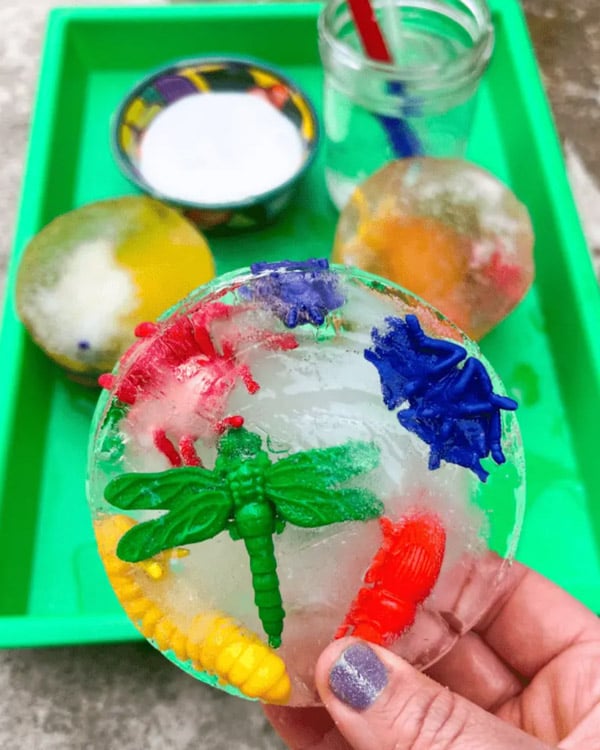 A hand holds a disk of ice with frozen insect toys inside.