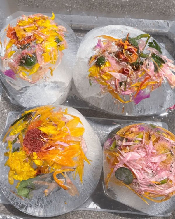 Four frozen bowls of water and flower petals.