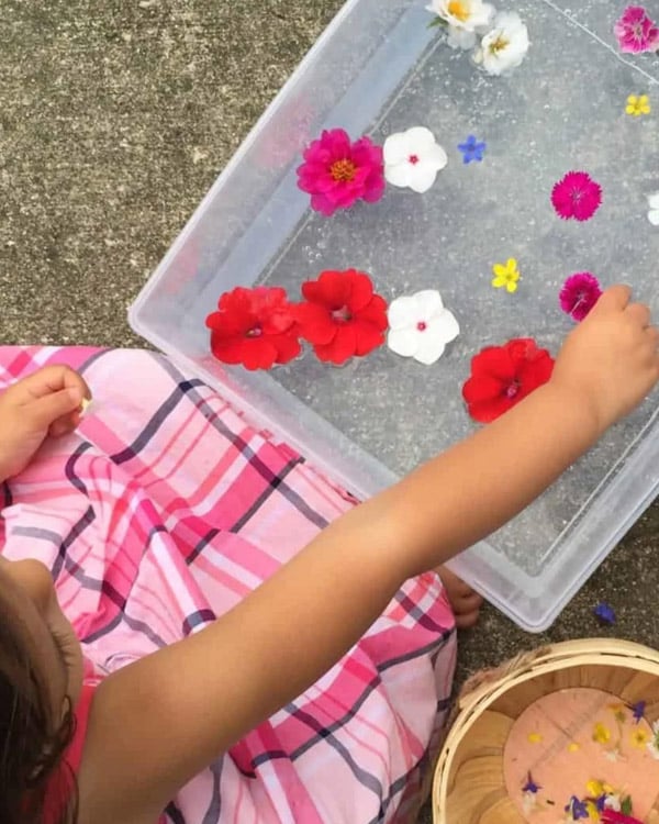 A child leans over a sensory bin of flowers and water.