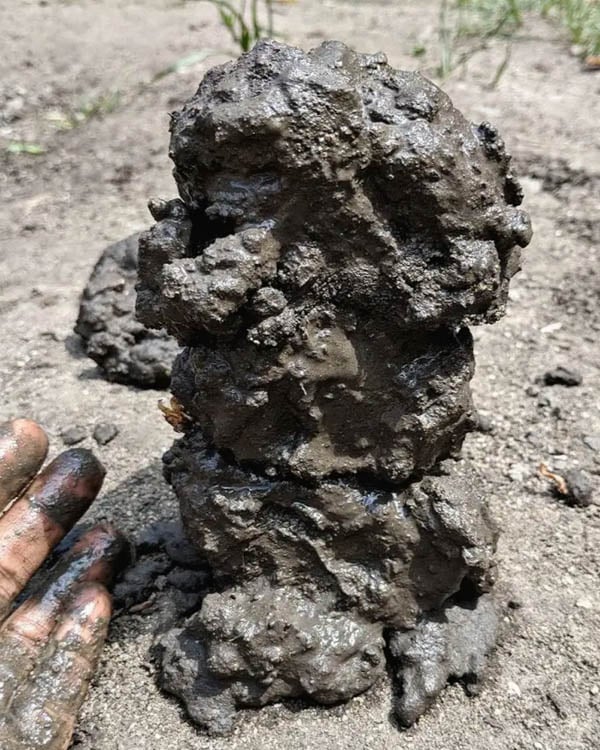 A mud sculpture is created by a child.