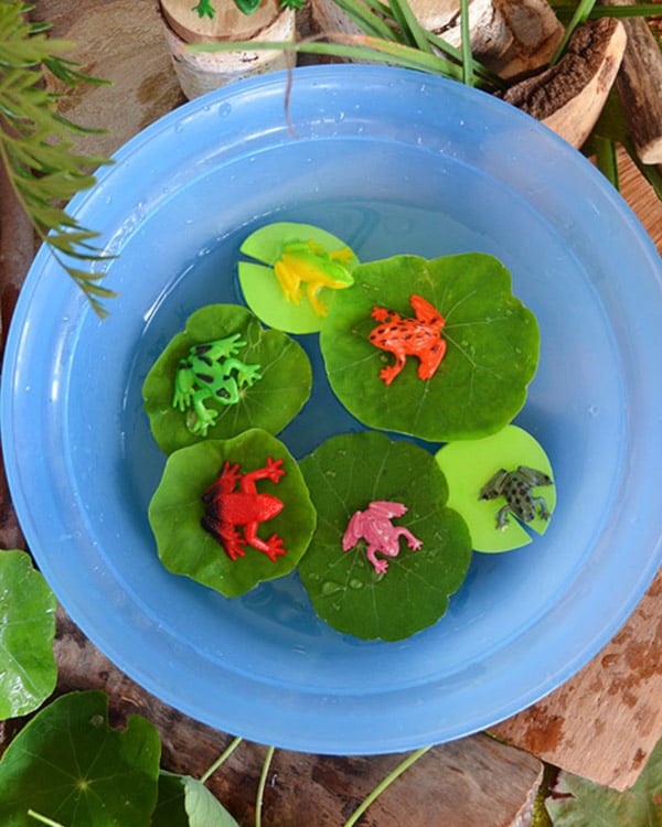Overhead photo of a sensory bin with lily pads and frogs.